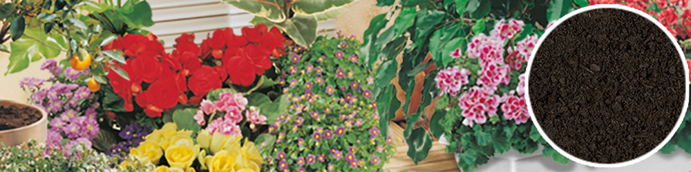 gabco Blumen - und Pflanzerde